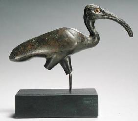 Striding ibis
