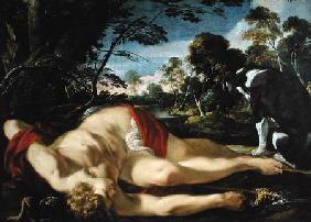 Dead Adonis c.1624-28