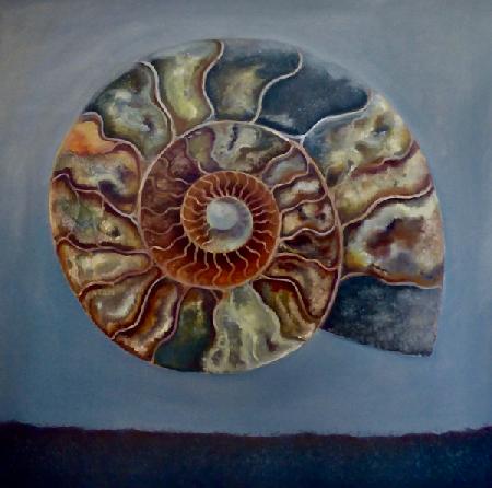 Ammonite 2020