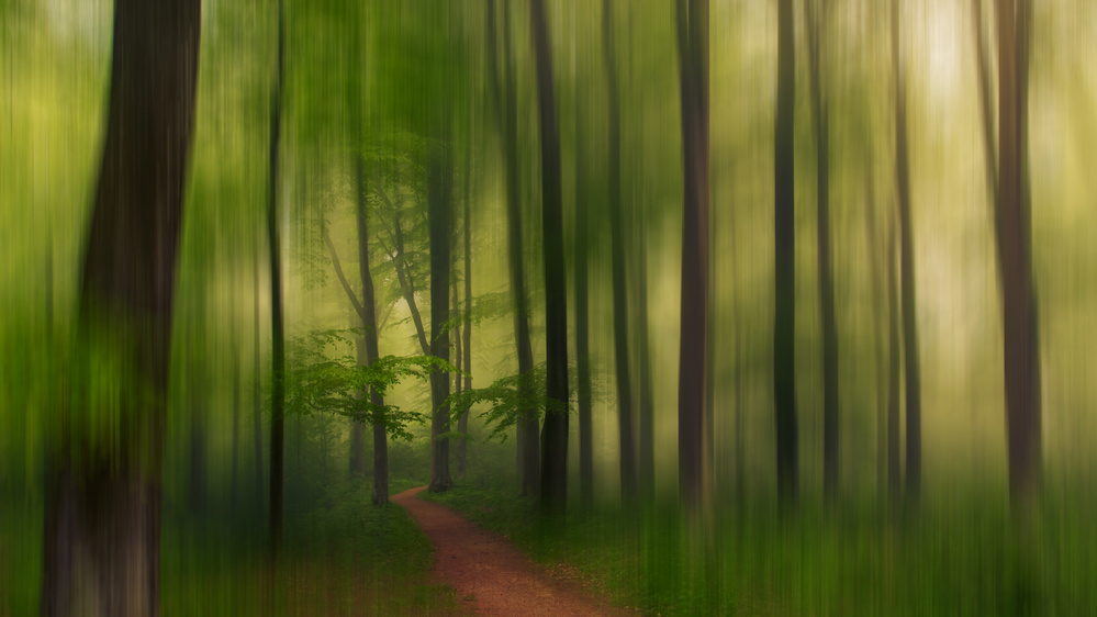 Der Grüne Wald. von Leif Løndal