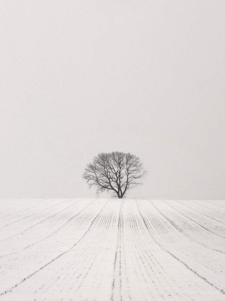 Weiße Wüste von Lena Weisbek
