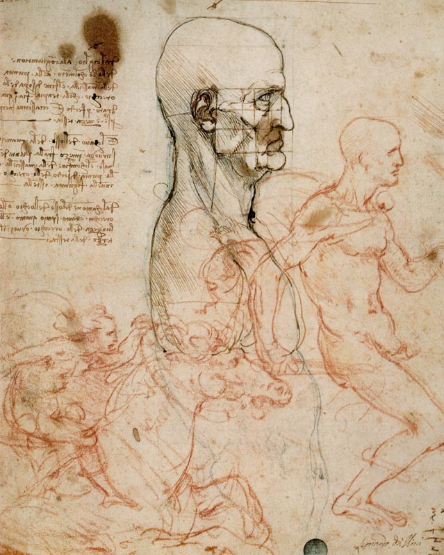 Anatomical studies von Leonardo da Vinci