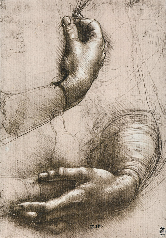 Studie der Hände einer Frau von Leonardo da Vinci
