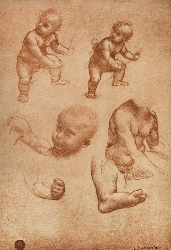 Study for a Portrait of a Child von Leonardo da Vinci