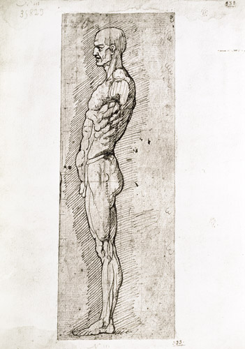 Anatomical Study von Leonardo da Vinci