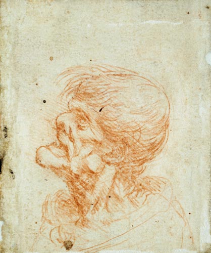 Caricature Head Study of an Old Man von Leonardo da Vinci