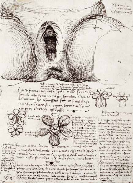 The Female Sexual Organs, facsimile copy  & von Leonardo da Vinci