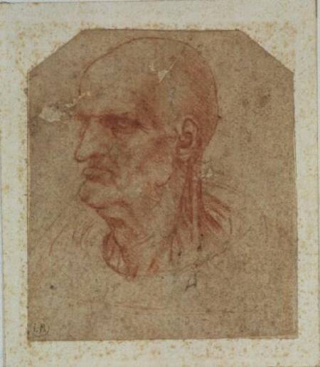 Head of a beardless old man, left profile von Leonardo da Vinci