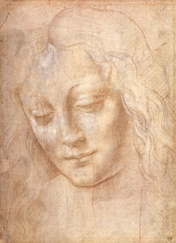 Head of a woman von Leonardo da Vinci