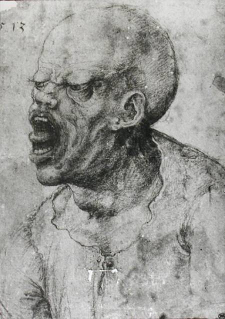 Portrait of a Man Shouting von Leonardo da Vinci