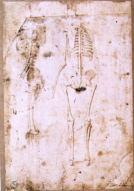 Two studies of a hanging skeleton (pen & ink with wash) von Leonardo da Vinci