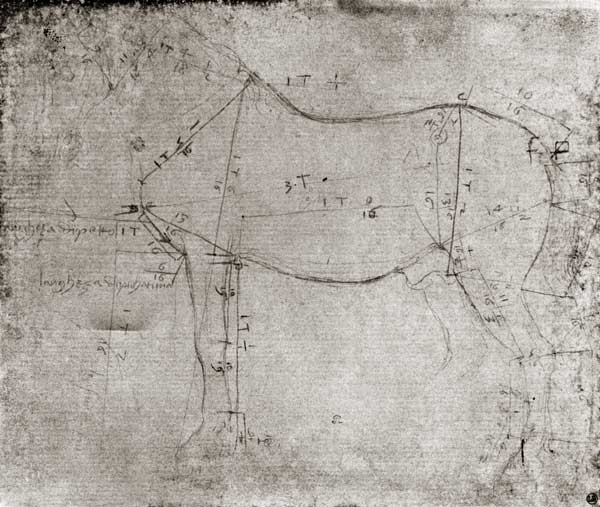 Study of a Horse von Leonardo da Vinci