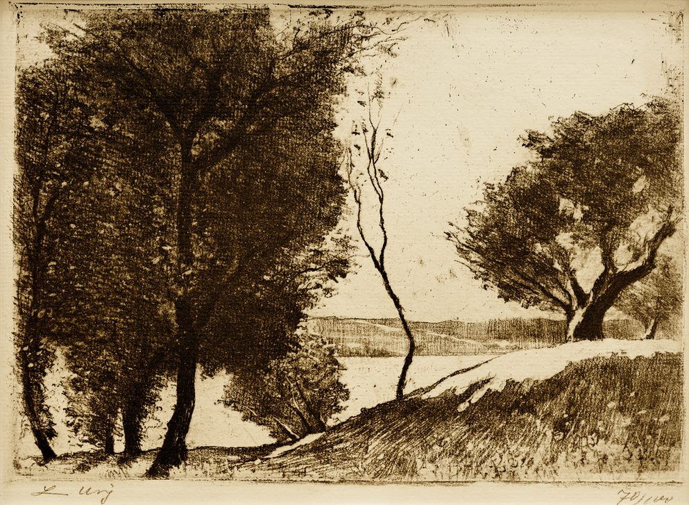 Baumbestandenes Ufer am märkischen See von Lesser Ury