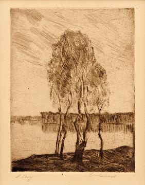 Drei Birken am märkischen See 1920