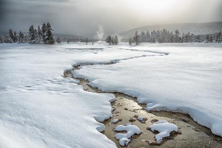 Winter im Yellowstone