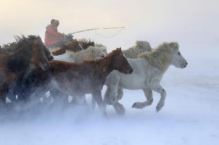 Winter in der Mongolei