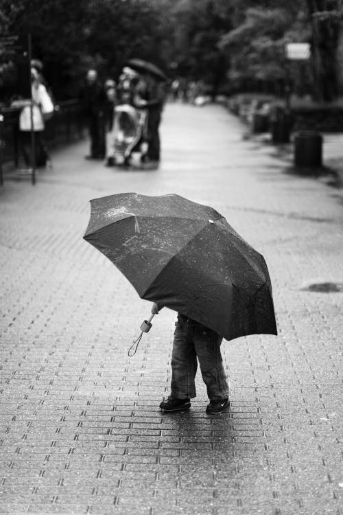 Rainy day von Liesbeth Van der