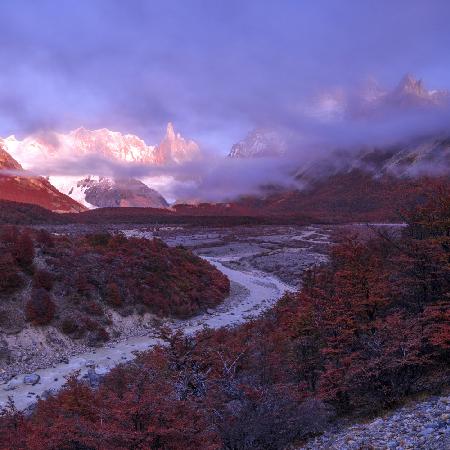 Nebliger Morgen in Patagonien
