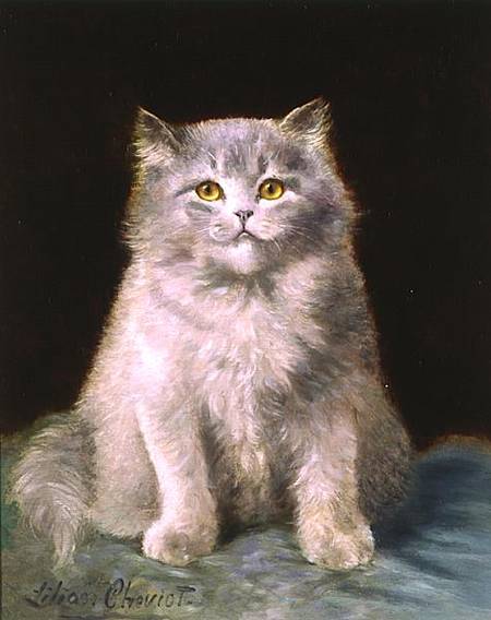 Study of a cat von Lilian Cheviot