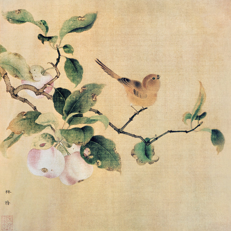 Vogel und reifende Aepfel von Lin-Tschun chinesischer Maler der Sung-Zeit