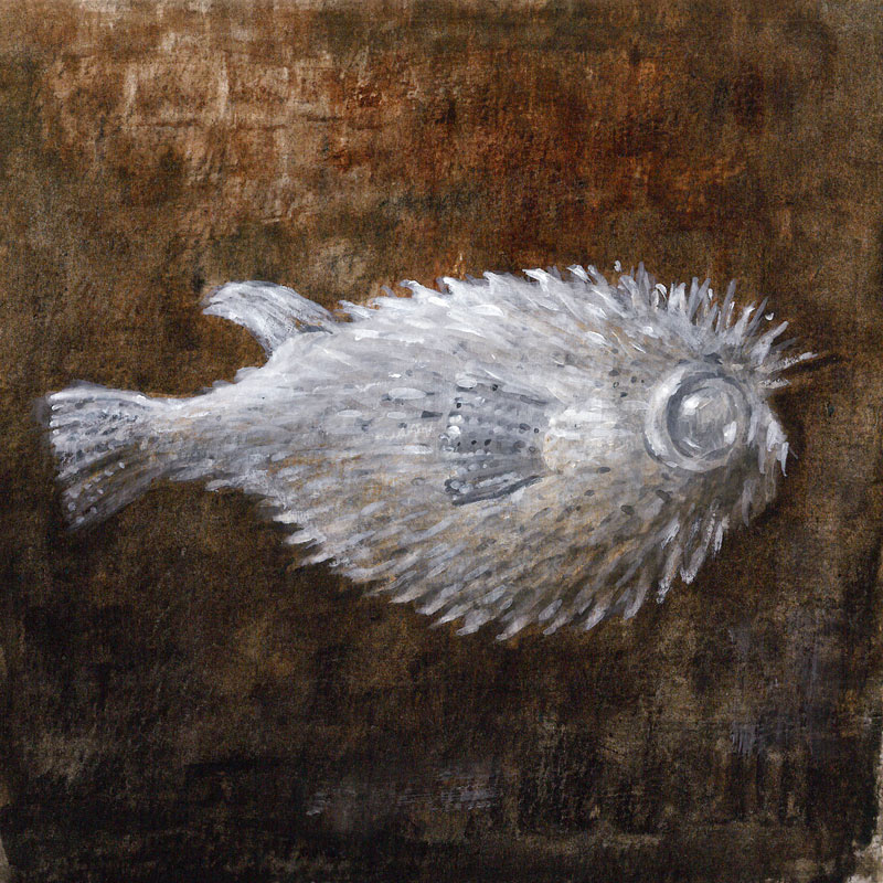 Puffer Fish von Lincoln  Seligman