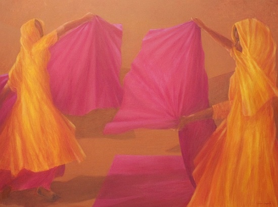 Folding Saris von Lincoln  Seligman