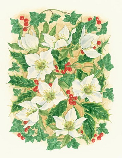 Christmas Roses, 1997 (w/c on paper)  von Linda  Benton