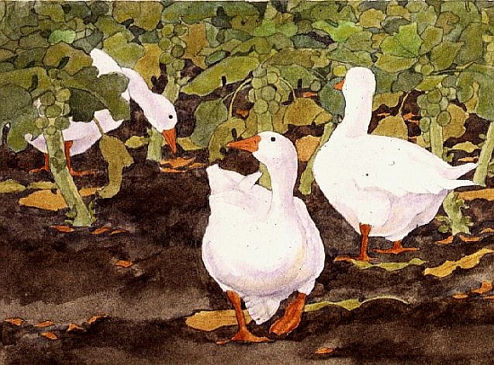 Geese in the Sprouts von Linda  Benton