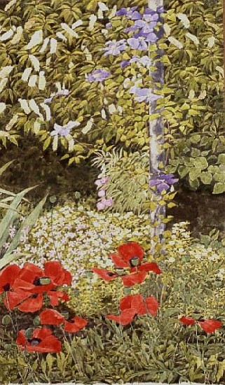 Poppies and flowering Clematis  von Linda  Benton
