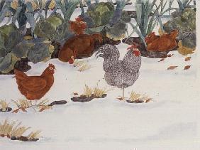 Hens in the Vegetable Patch 