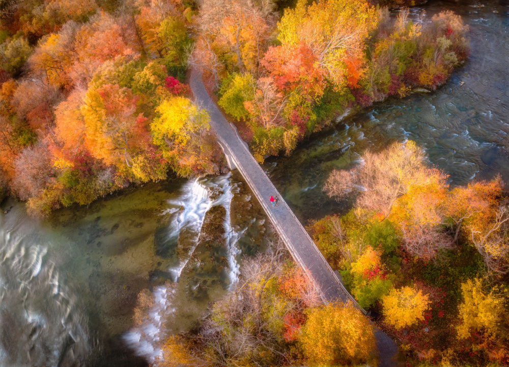 Herbstbrücke von Ling Lu