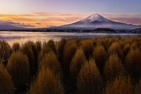 Mount Fuji am Morgen