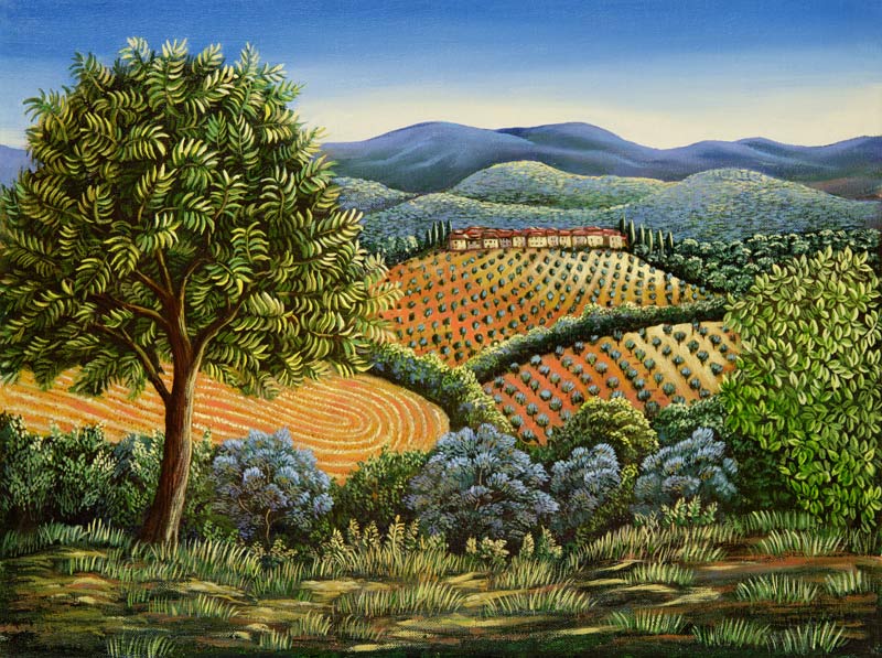 Tuscan hilltop village, 1990  von Liz  Wright