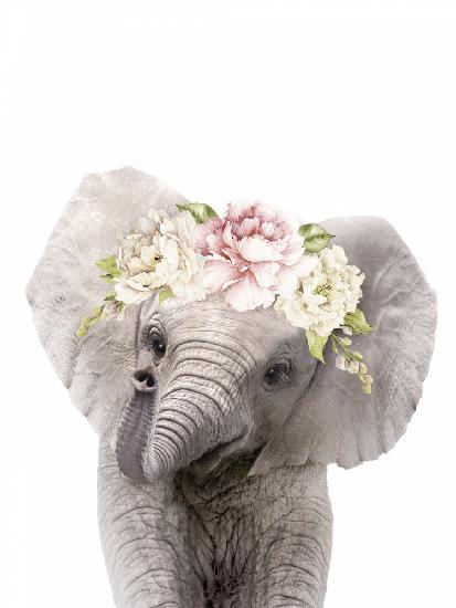 Blumenbaby-Elefant