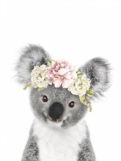 Blumenbaby-Koala
