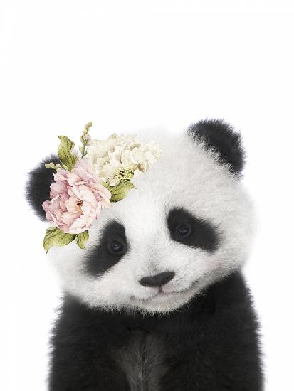 Blumenbaby-Panda