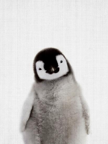 Peekaboo Baby-Pinguin