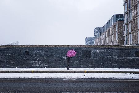 Der rosa Regenschirm