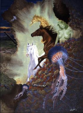 Horse Marin 2002