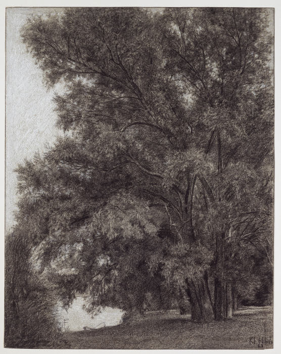 Baumgruppe im Schlosspark Kleinheubach von Louis Eysen