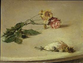 Toter Vogel und zwei Rosen auf einer Tischplatte
