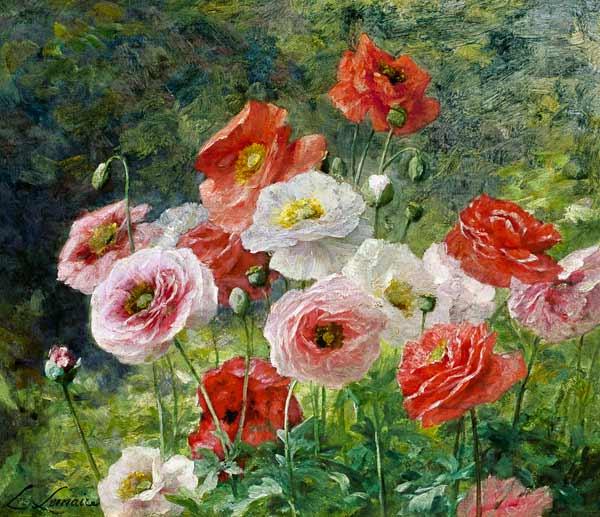 Cluster of Poppies 1884