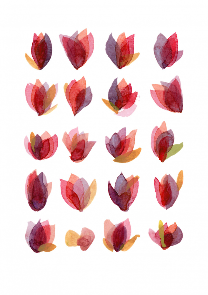 Rote Blütenblätter von Louise van Terheijden