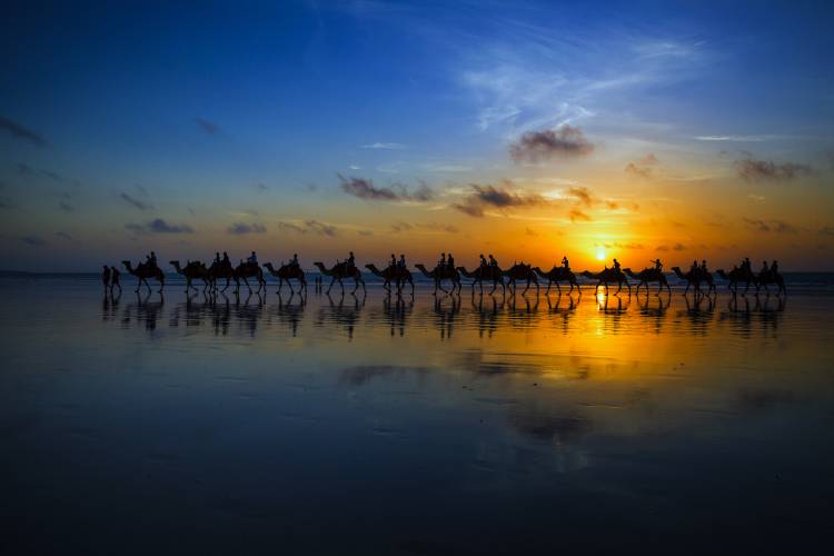 Sunset Camel Ride von Louise Wolbers