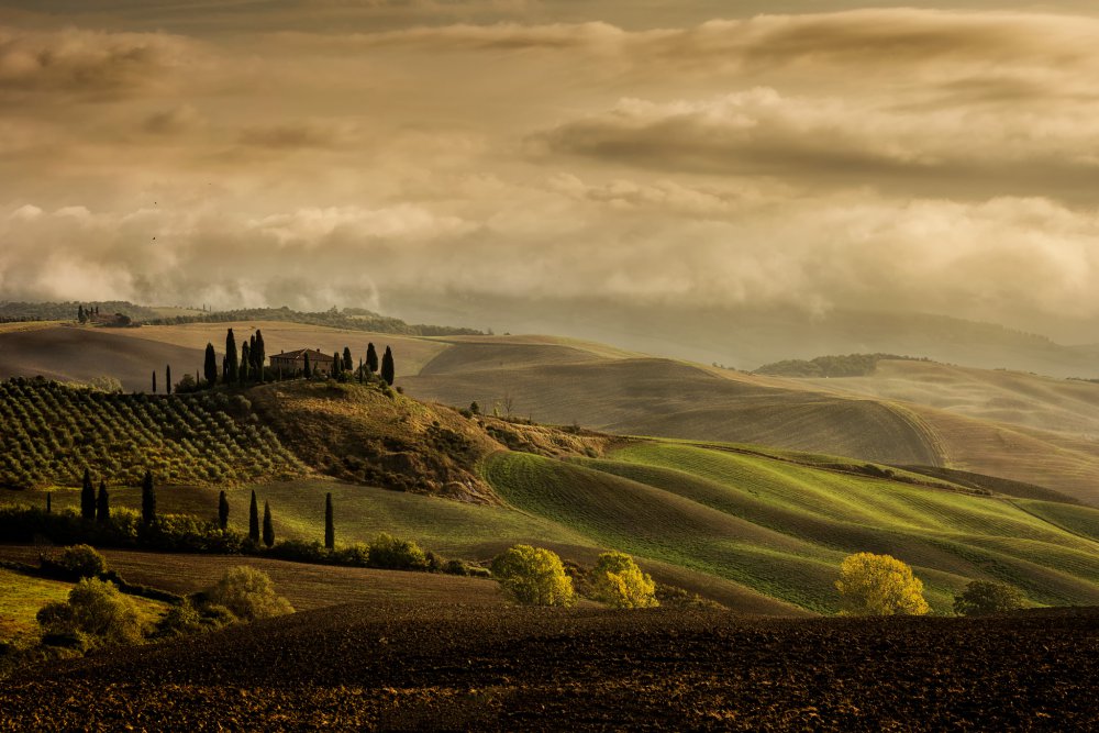 Das Land,in dem Träume wahr werden! von Luca Vescera