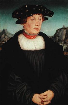 Portrait of Hans Melber 1526