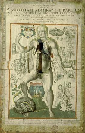 Catoptri microcosmici (..) absolutam admirandae partium hominis creaturarum divinarum praesantissimi 1613