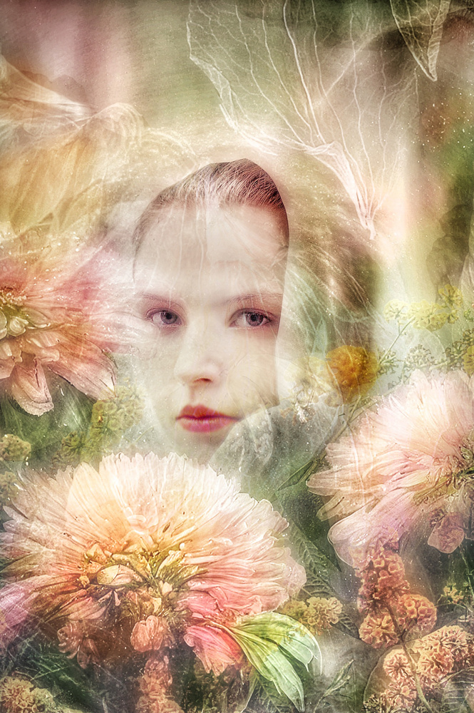 Femme aux chrysanthemes von Ludmila Shumilova