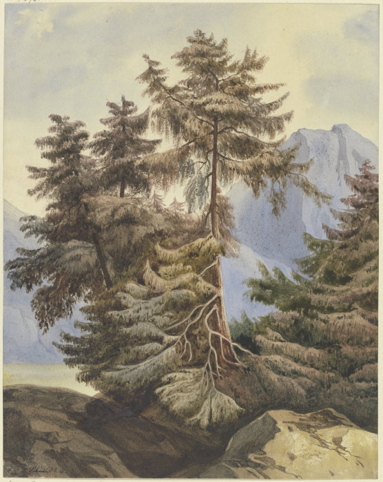 Drei Tannen im Gebirge von Ludwig Daniel Philipp Schmidt