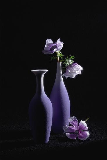 Hübsches violettes Thema